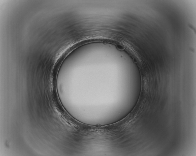 X0000102520676200808081030