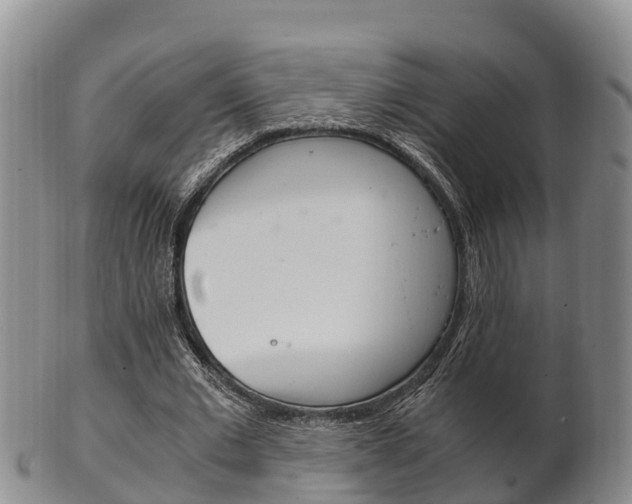 X0000102520677200808081030