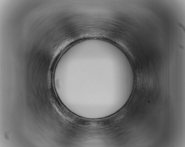 X0000102520678200808081030