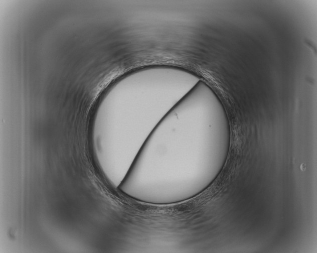 X0000102520679200808081030