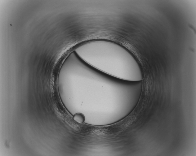 X0000102520680200808081030