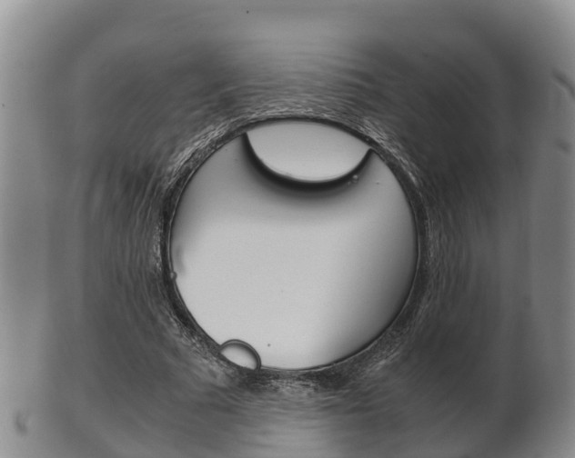 X0000102520681200808081030