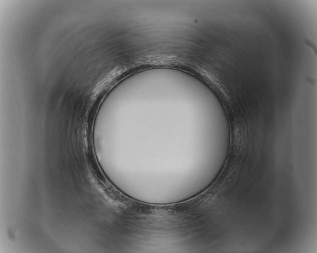 X0000102520682200808081030
