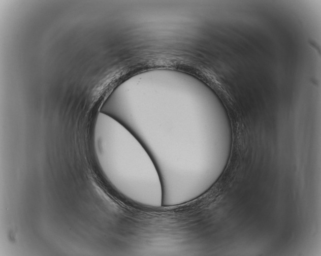 X0000102520683200808081030