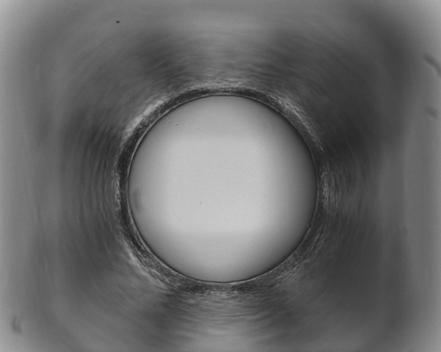 X0000102520684200808081030