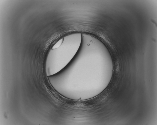 X0000102520685200808081030
