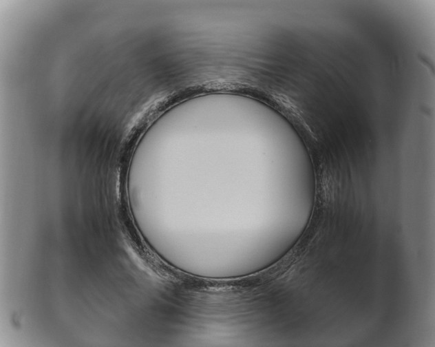 X0000102520686200808081030