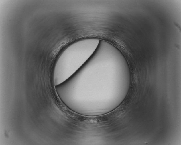 X0000102520687200808081030