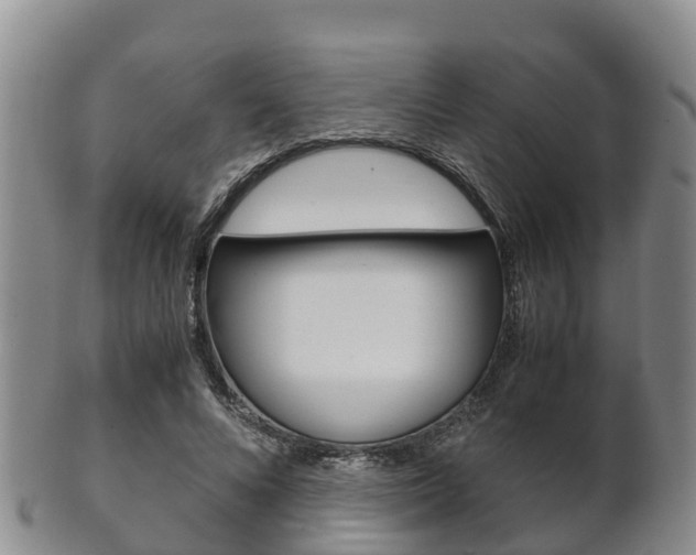 X0000102520688200808081030