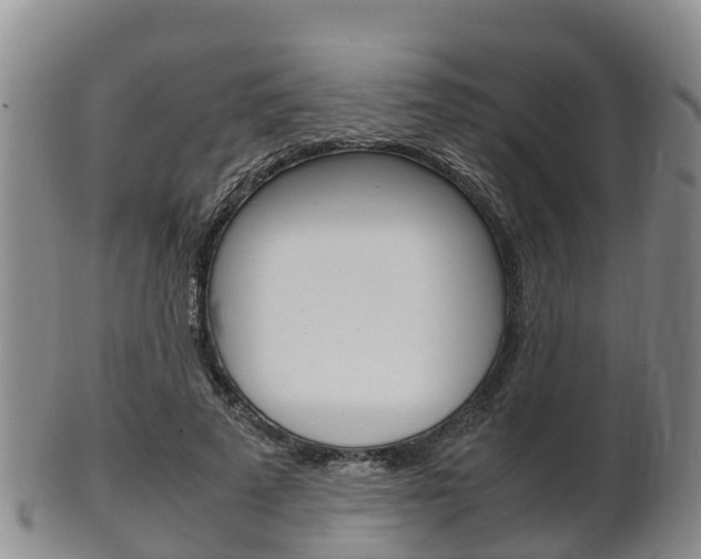 X0000102520689200808081030