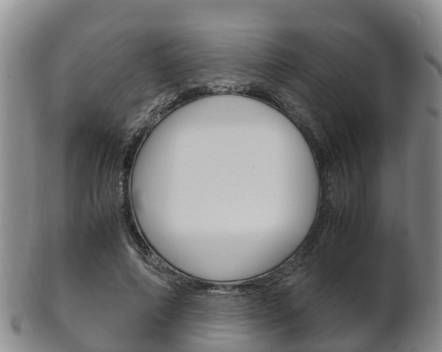 X0000102520690200808081030
