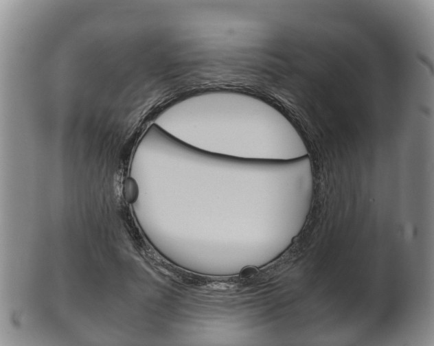 X0000102520691200808081030