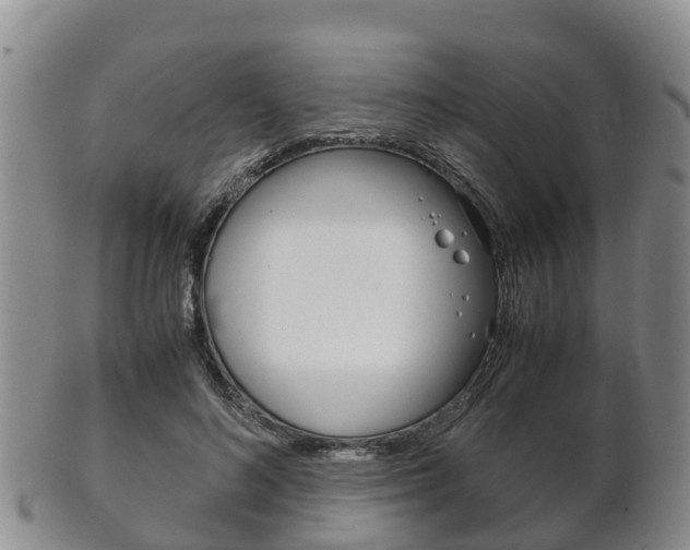 X0000102520692200808081030