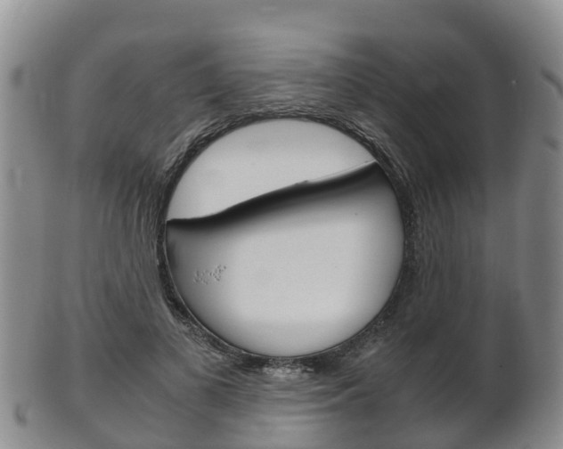 X0000102520693200808081030