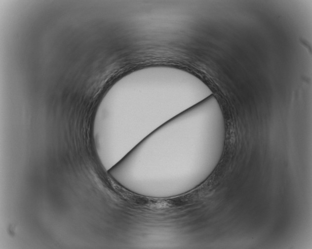 X0000102520695200808081030