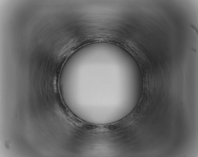 X0000102520696200808081030