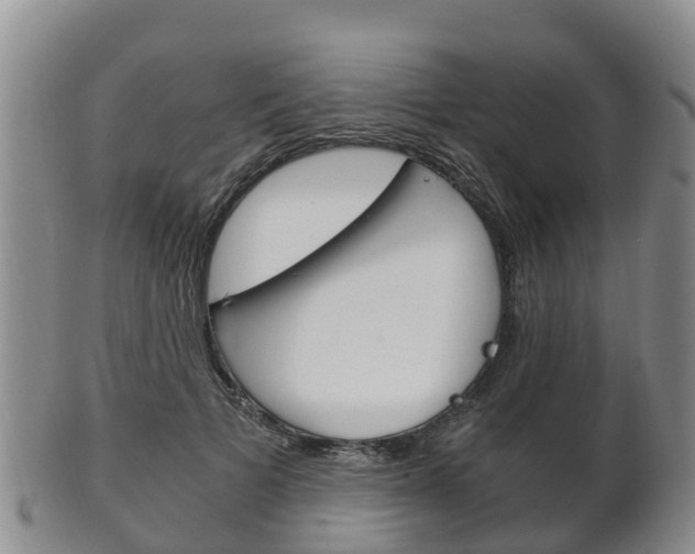 X0000102520697200808081030