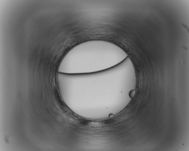 X0000102520699200808081030