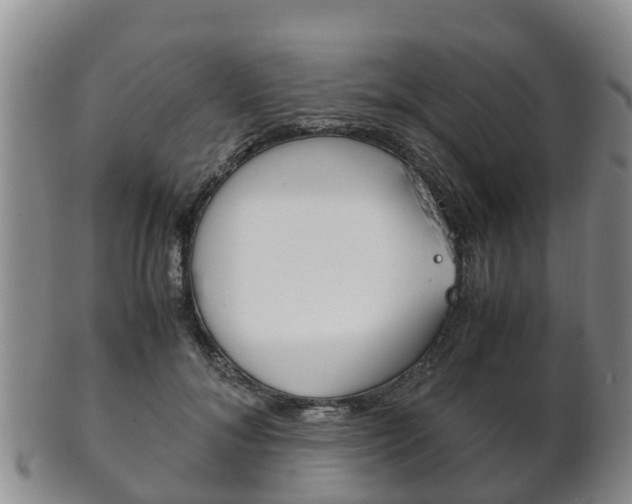 X0000102520700200808081030