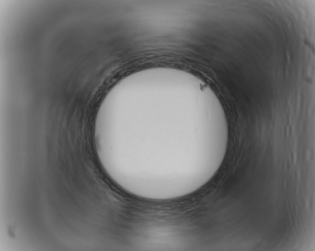 X0000102520701200808081030
