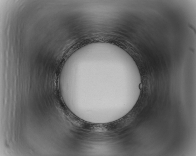 X0000102520702200808081030