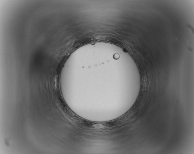 X0000102520703200808081030