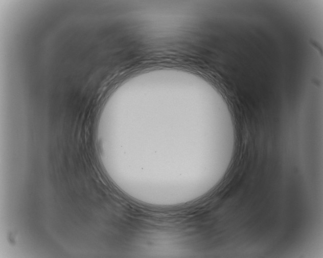 X0000102520705200808081030
