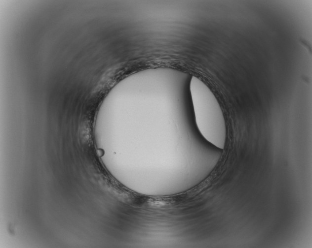 X0000102520706200808081030