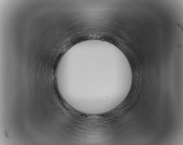 X0000102520707200808081030