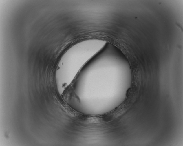 X0000102520708200808081030