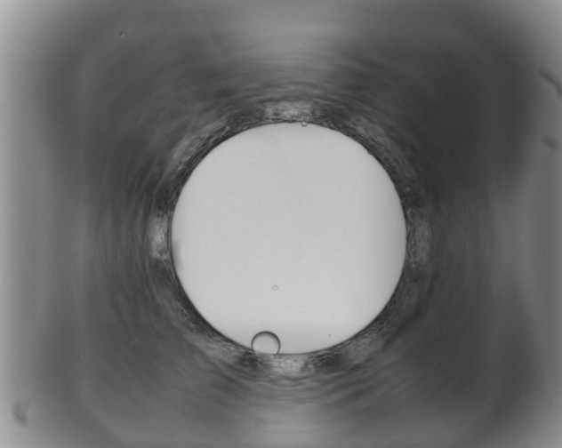 X0000102520709200808081030