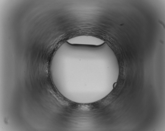 X0000102520710200808081030