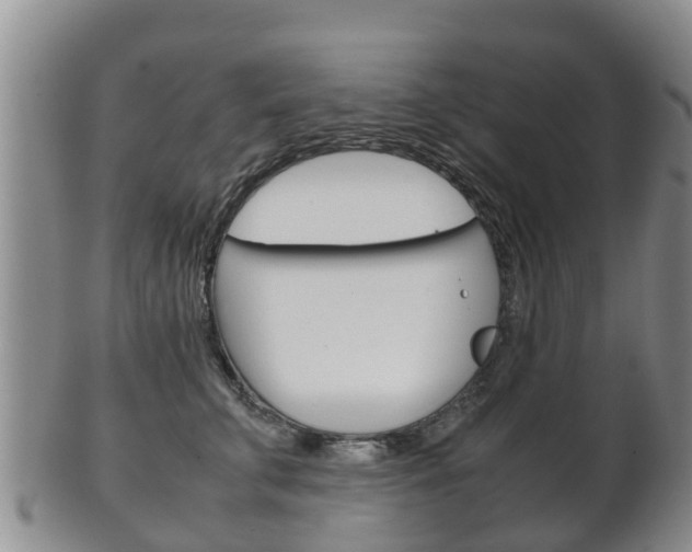 X0000102520711200808081030