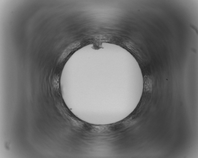 X0000102520713200808081030