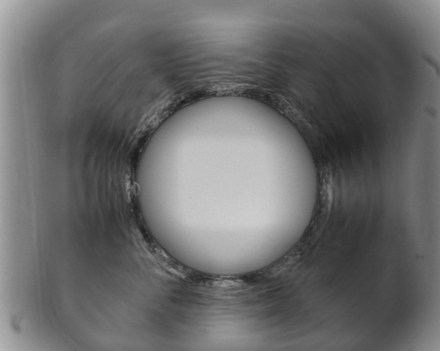 X0000102520716200808081029
