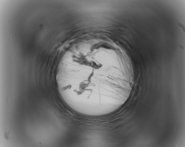 X0000102520717200808081029