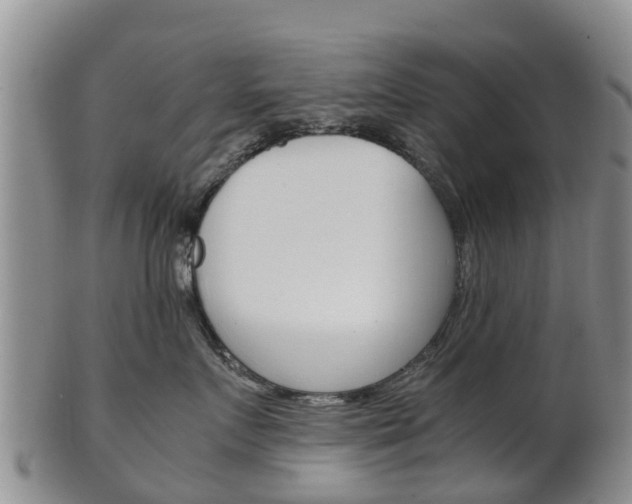 X0000102520719200808081029