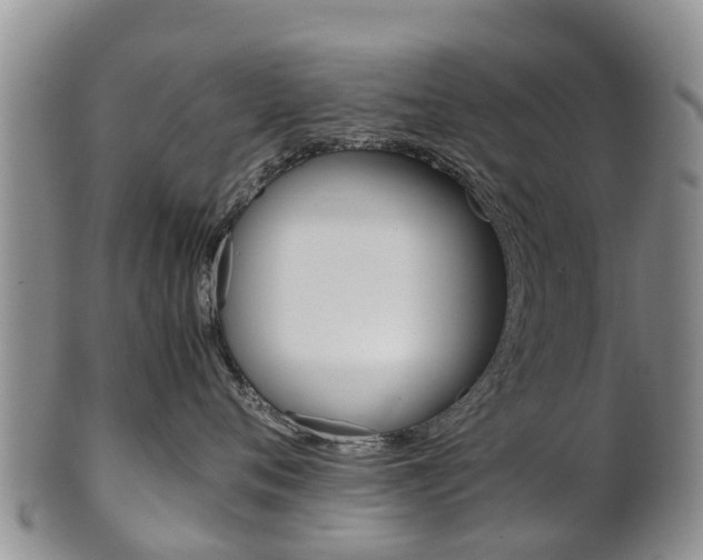 X0000102520720200808081029
