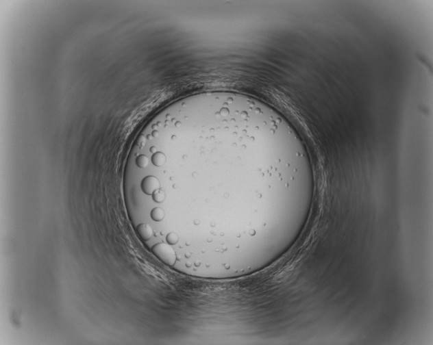 X0000102520721200808081029