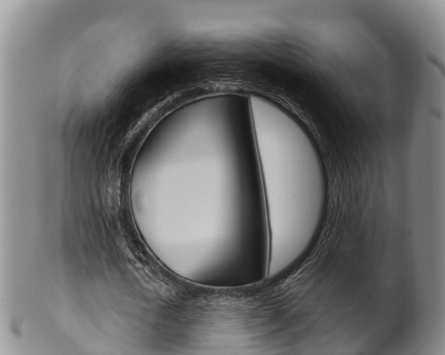 X0000102520722200808081029