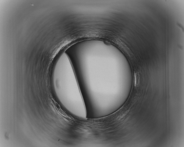 X0000102520723200808081029