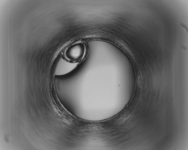 X0000102520724200808081029