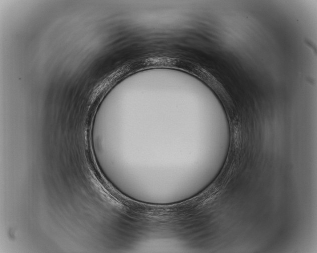 X0000102520725200808081029