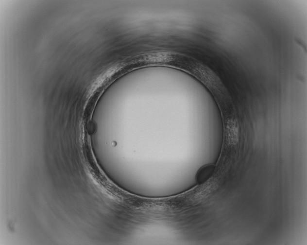 X0000102520726200808081029