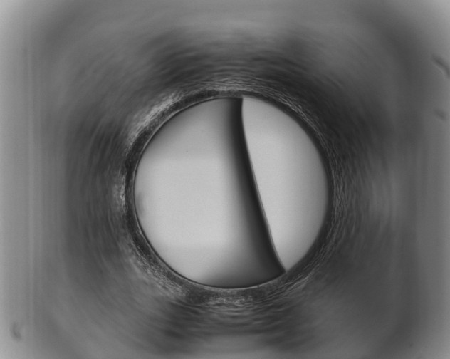X0000102520727200808081029