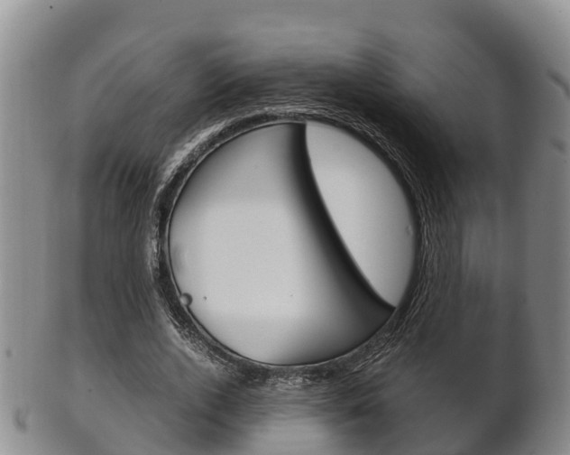 X0000102520728200808081029