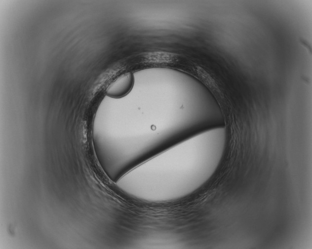 X0000102520731200808081029