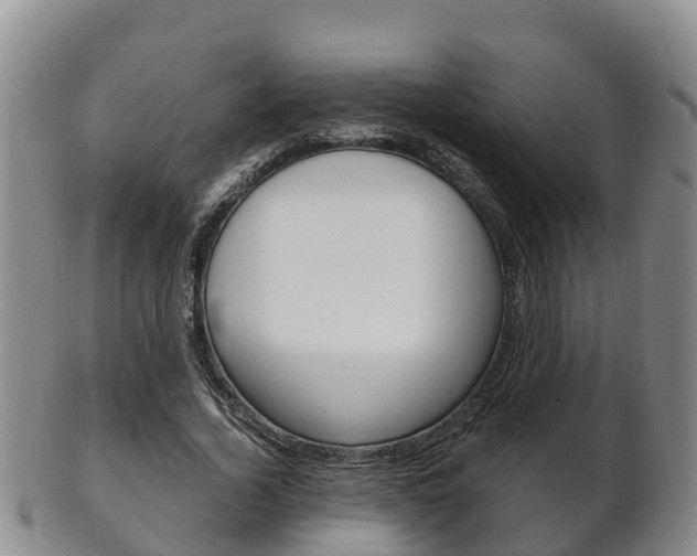 X0000102520732200808081029