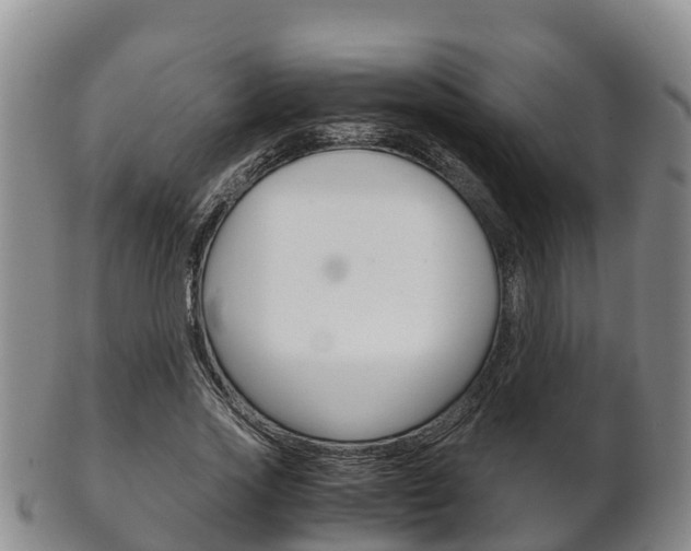 X0000102520733200808081029