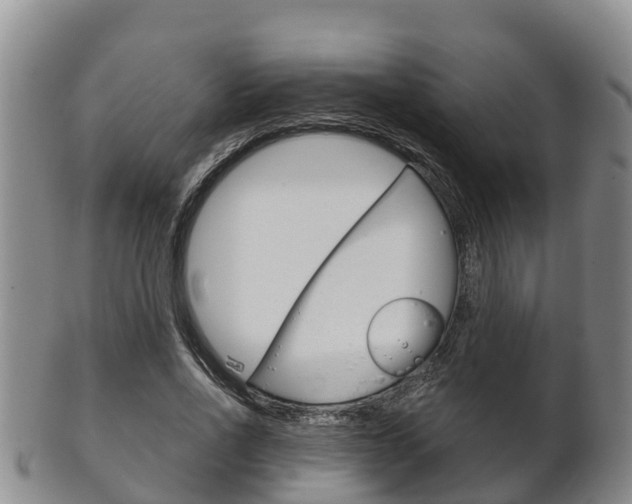 X0000102520734200808081029
